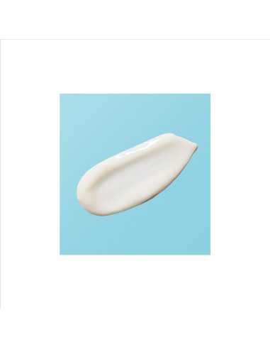 ANNE MOLLER BLOCKÂGE 24H MOISTURIZING...