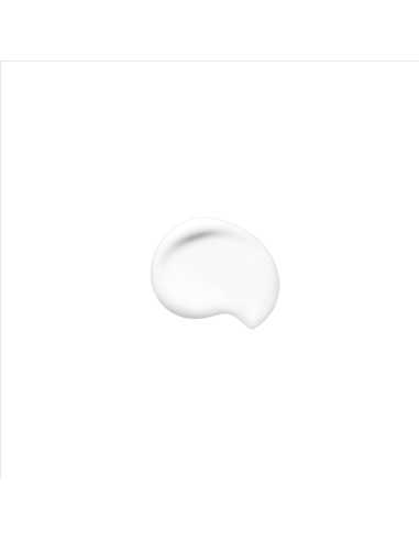 SHISEIDO SMU SYNCHRO SKIN SOFT...