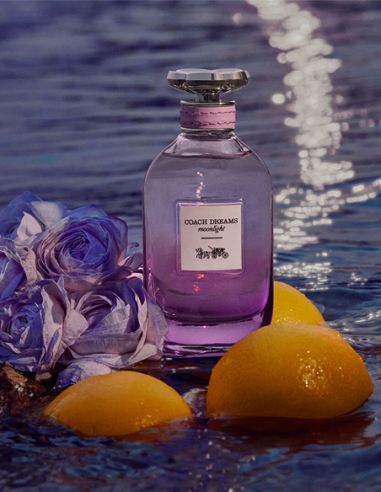 COACH DREAMS MOONLIGHT EAU DE PARFUM