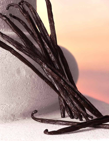 DOLCE & GABBANA DEVOTION EAU DE...