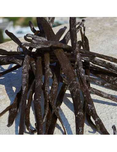 DOLCE&GABBANA DEVOTION EDP