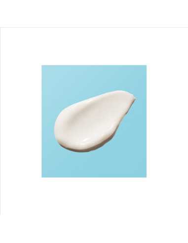 ANNE MOLLER BLOCKÂGE 24H MOISTURIZING...