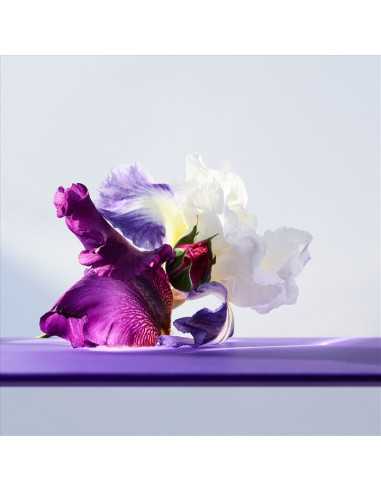 BVLGARI OMNIA AMETHYSTE EDT