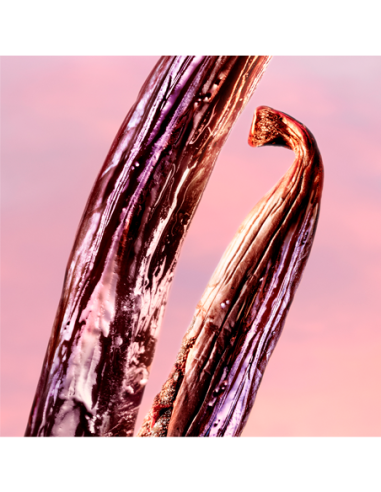 LANCOME LA VIE EST BELLE VANILLE NUDE...