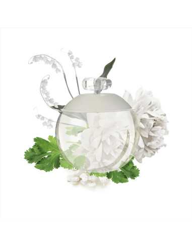 CACHAREL NOA EAU DE TOILETTE